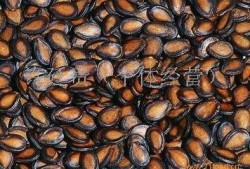 热门大瓜子,零食界的明星产品